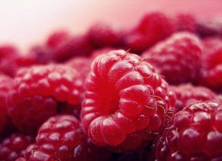 The True Meaning of Paleo