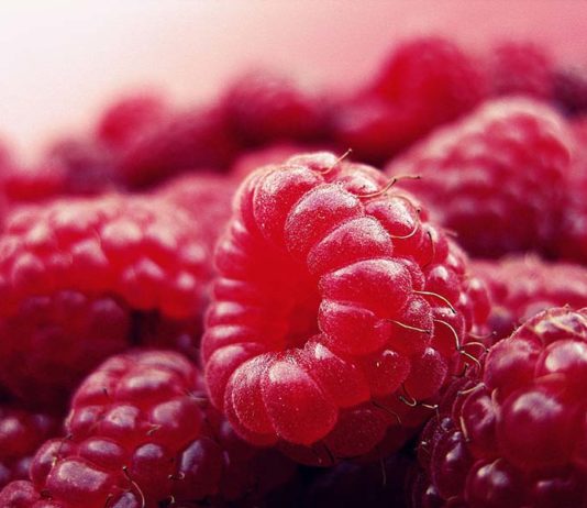 The True Meaning of Paleo